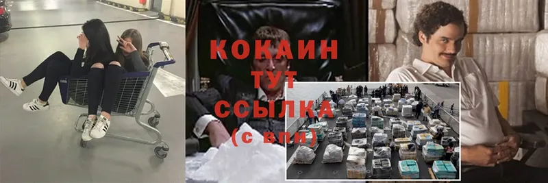 Cocaine Эквадор  kraken вход  Высоцк  где найти наркотики 